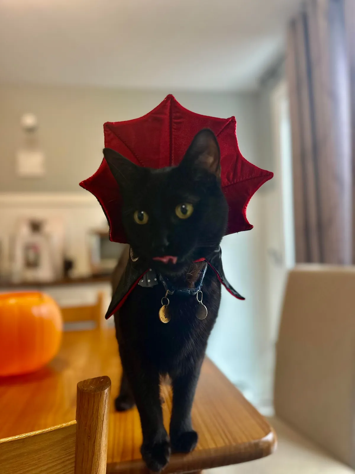 They call him The Prince of Darkness