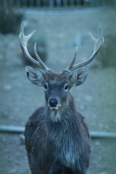 A slice of (tourist) life in Lhasa, Tibet