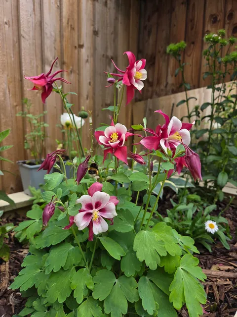 For the lovely soul who stole my photo, here are more.