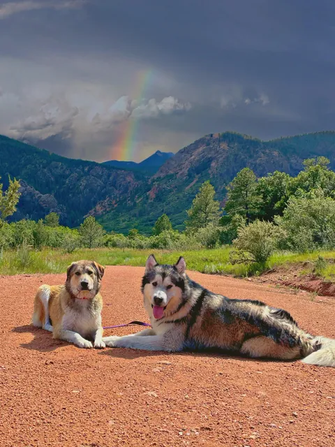 One of my favorite pictures I’ve ever taken - and the goofiness leading up to it!