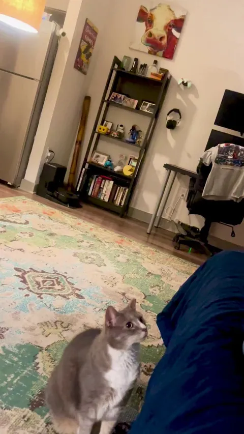 Was out of town for a few days and I think Gertrude missed me.