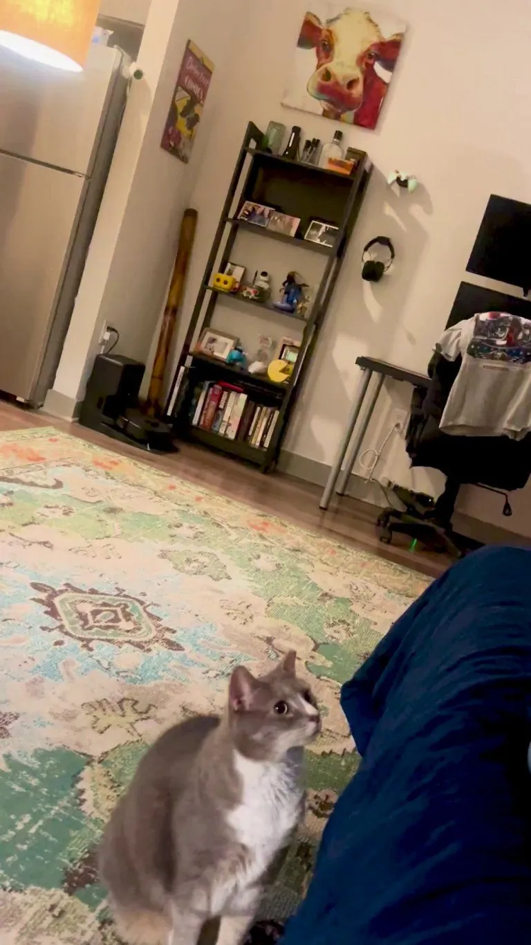 Was out of town for a few days and I think Gertrude missed me.