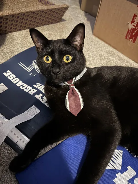 don’t know if i can trust my accountant