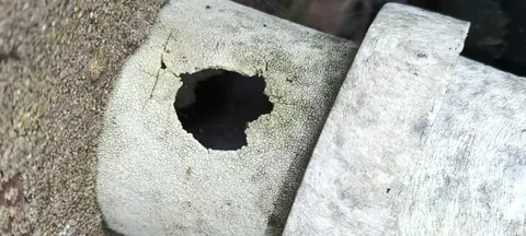 This is on the outside, but it's still bad, right?