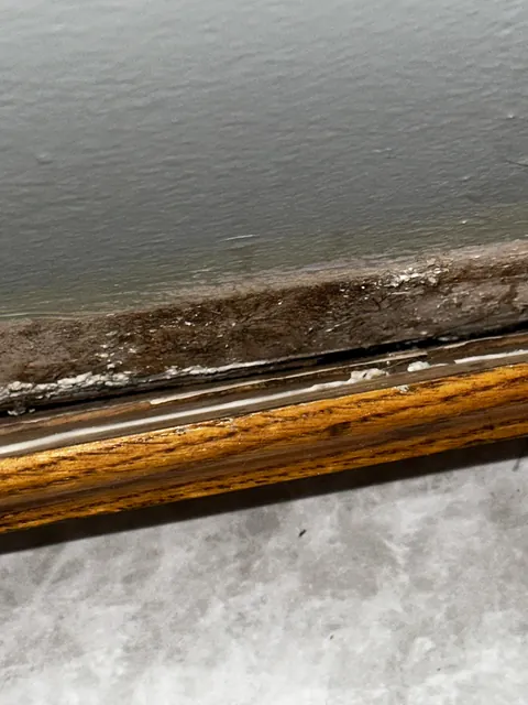 Moved into our “dream home” before closing… to discover it’s a moldy nightmare