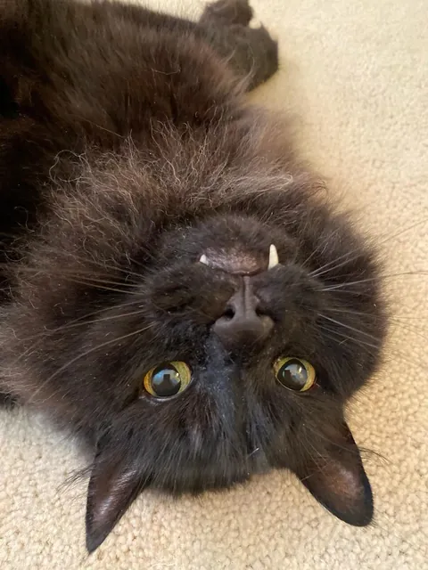 From gotcha to goodbye