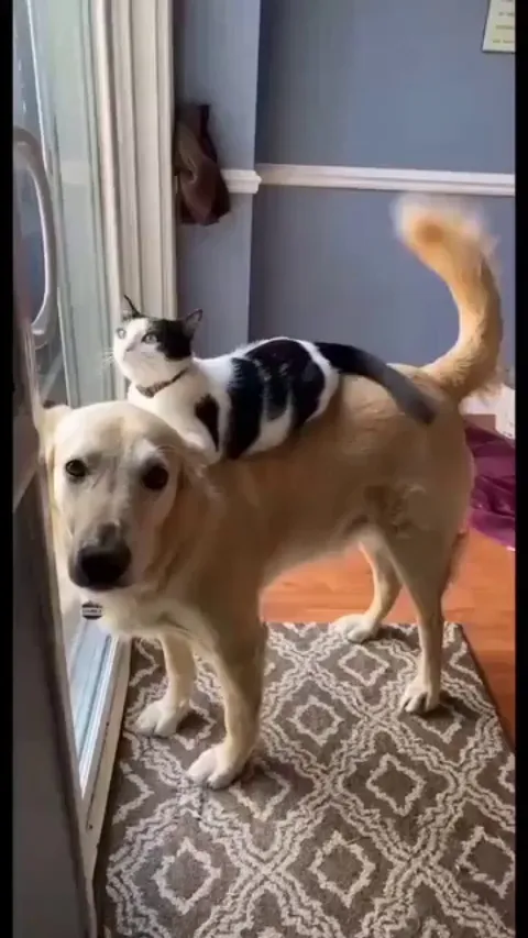 Some Things Never Change 🥰