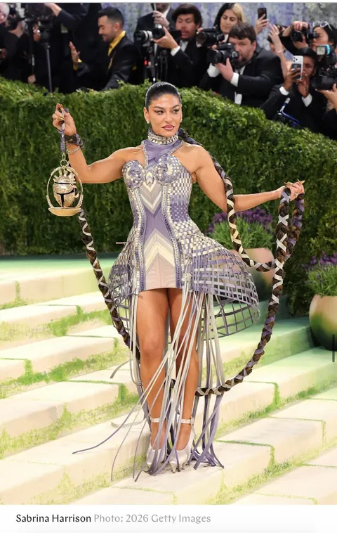 Artistic Looks At The Met Gala You Probably Missed