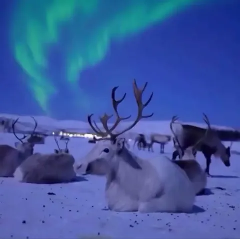 🔥 Splendid vistas of North