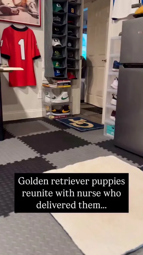 Maybe this is what heaven on Earth looks like