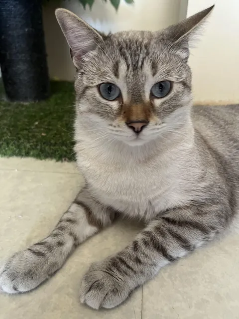 what’s going on in his head ?