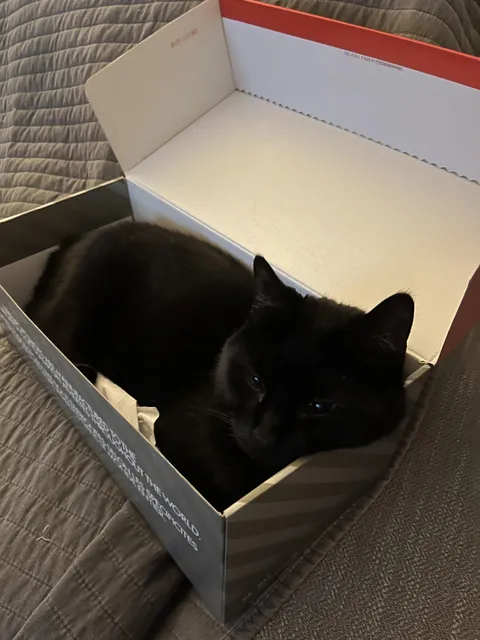 I ordered Nikes. Is it normal to receive a void instead?