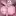 Do you like femboys with foreskin?