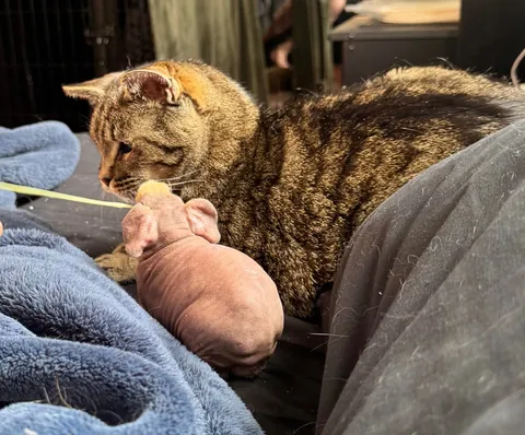 Edgar and his new baby