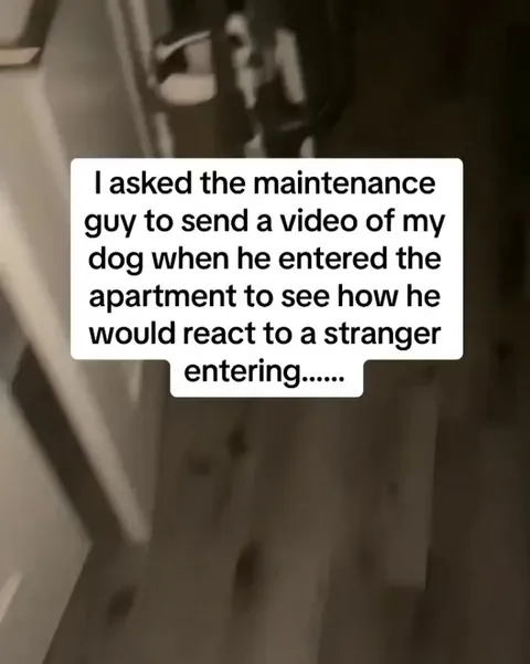Cosmo Doesn't Believe in Stranger Danger