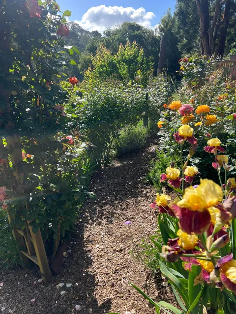 If you love your garden, it’ll love you back (Pt 2)