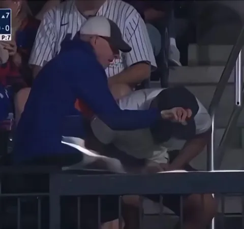 At a Mets game, CEOs are coming out the woodworks
