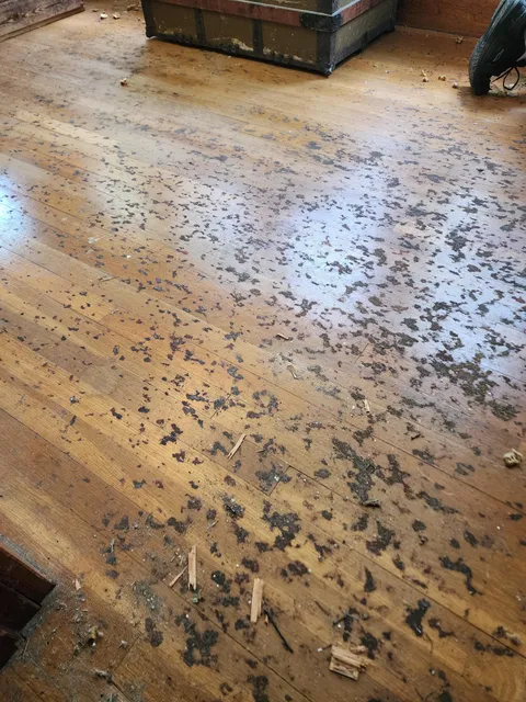 Removed Carpet, beautiful hardwood but how to remove carpet pad residue
