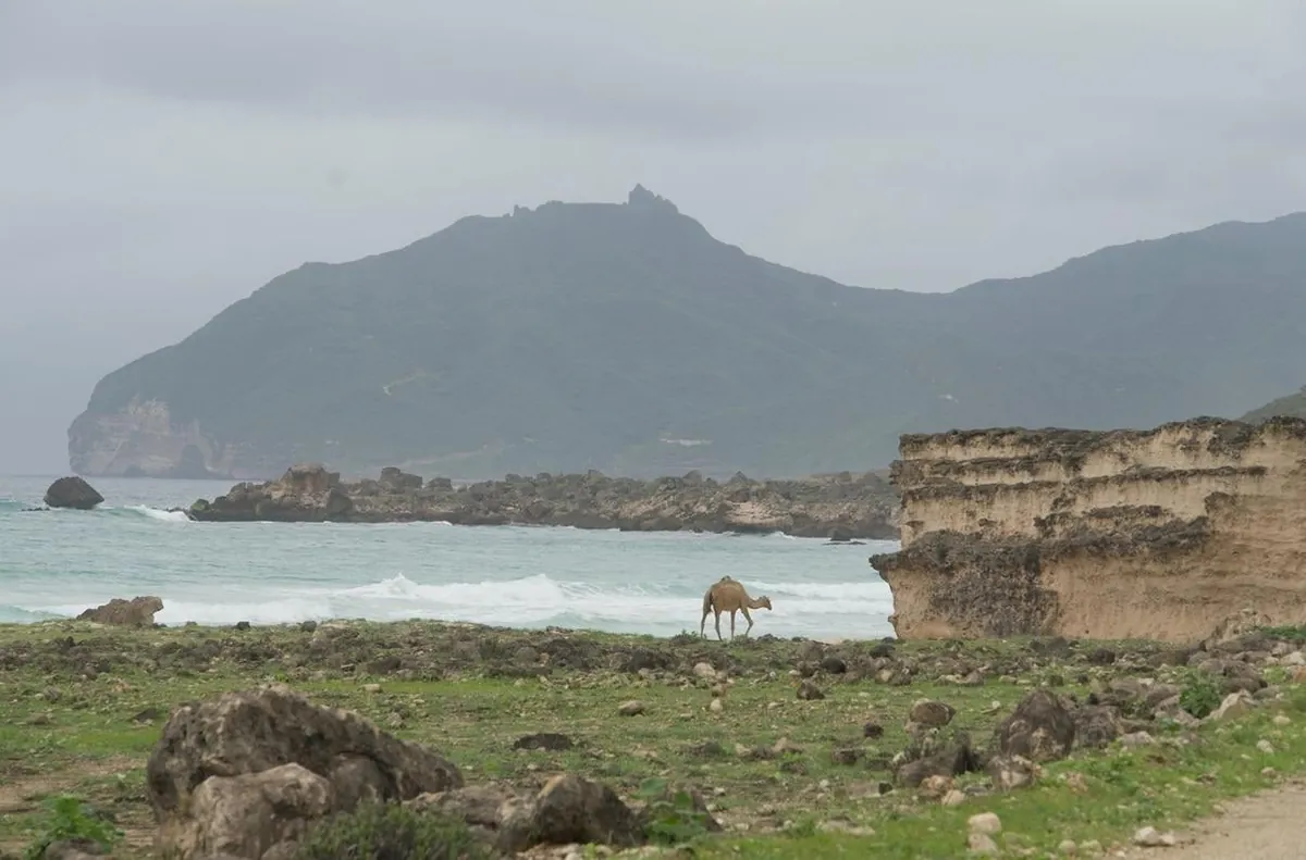 3 weeks traveling around Oman, my new favorite country in the world