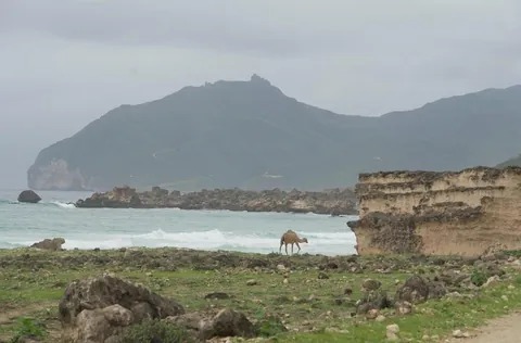 3 weeks traveling around Oman, my new favorite country in the world