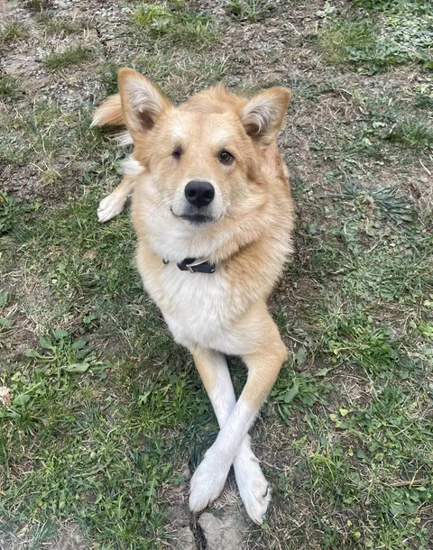 Even though born without an eye, still the happiest and most gracious girl ever!