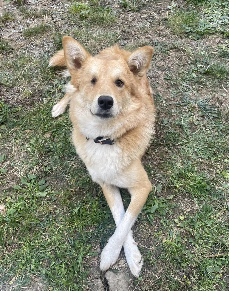 Even though born without an eye, still the happiest and most gracious girl ever!