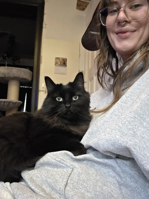 My fluffy void finally sat on my lap today!