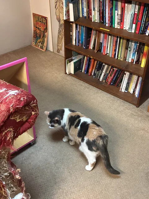 I asked this bookstore employee where the film book section was moved to