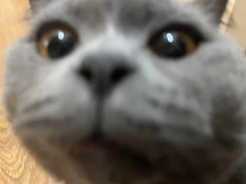 It’s his 1st bday. Congratulate him