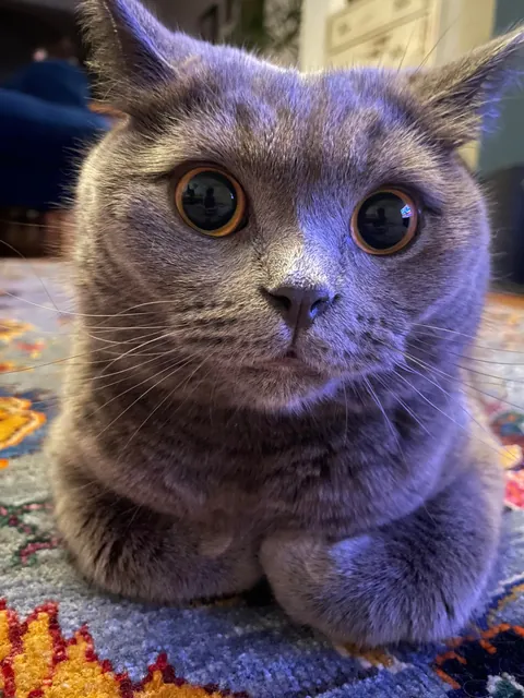 It’s his 1st bday. Congratulate him