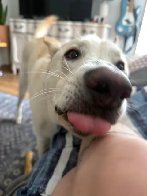 Fern update 1yr later