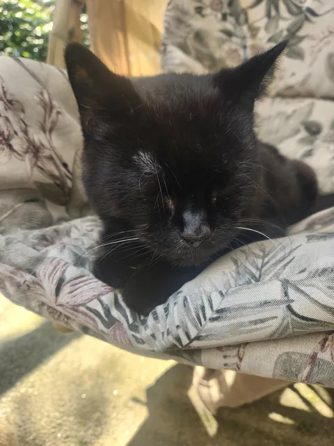 Somehow we are at 22! I love you Sammy ♥️