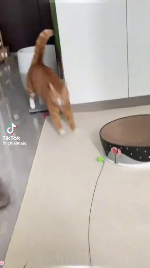 Will make you smile. 😄