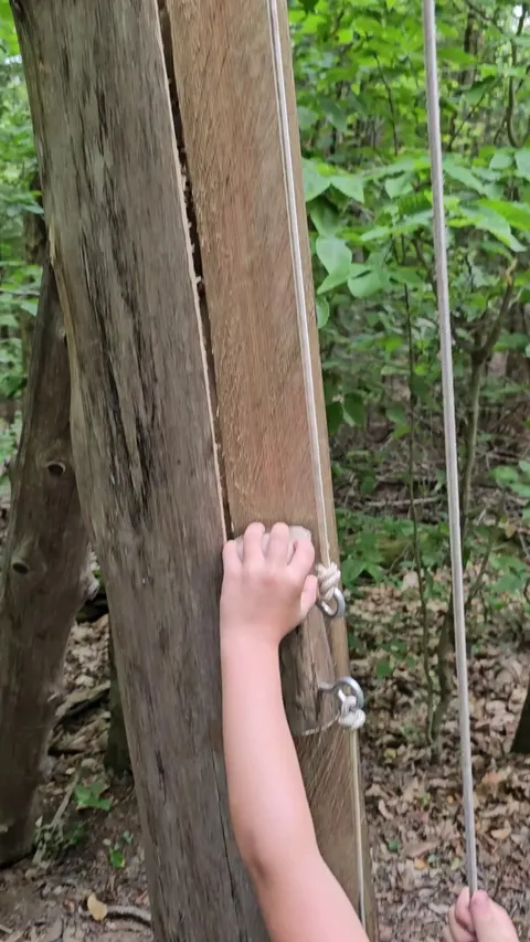 If anyone needs me, I'll be in the woods making this