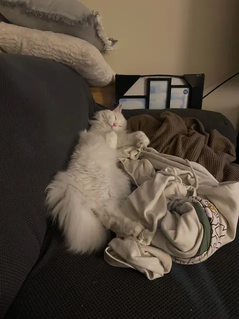 Just an appreciation post