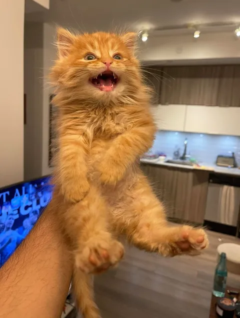 Hello World, meet Edward!