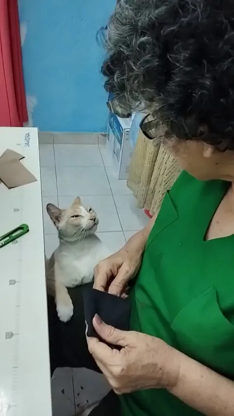 Please Forgive My Bite