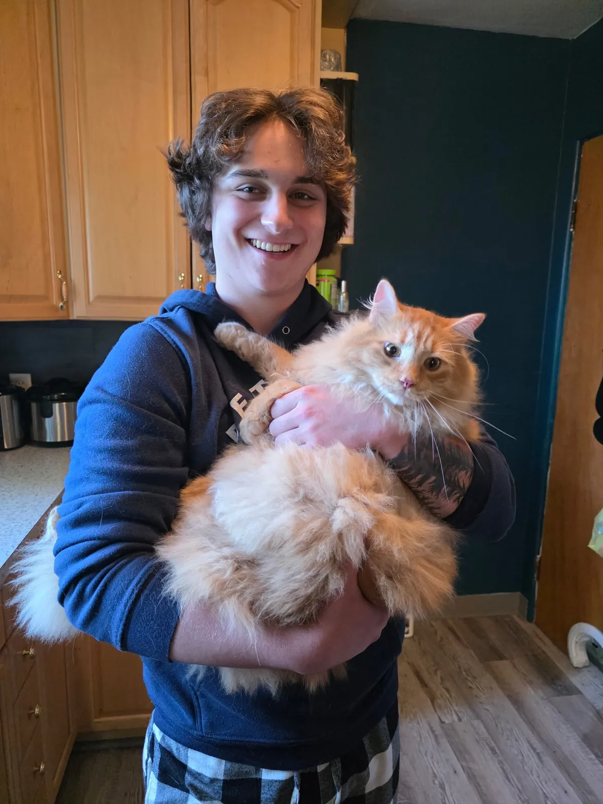 We adopted a fifth cat today! Everyone meet Gus, our orange chonky floof.