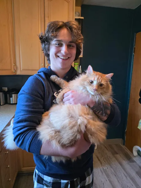 We adopted a fifth cat today! Everyone meet Gus, our orange chonky floof.