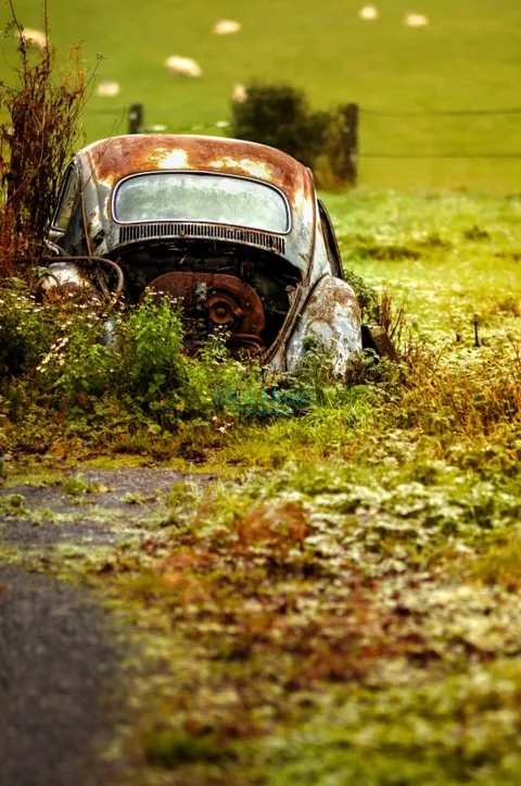 Abandoned beetle