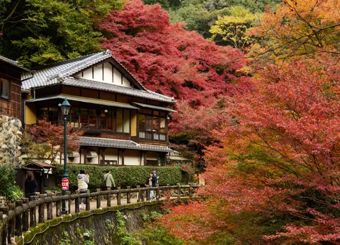 Autumn in Kansai, Japan