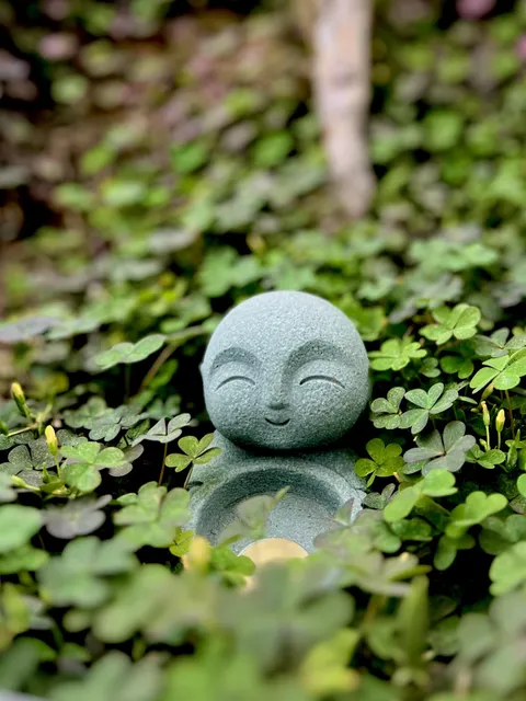 My garden Buddha chillin in his  clover forest