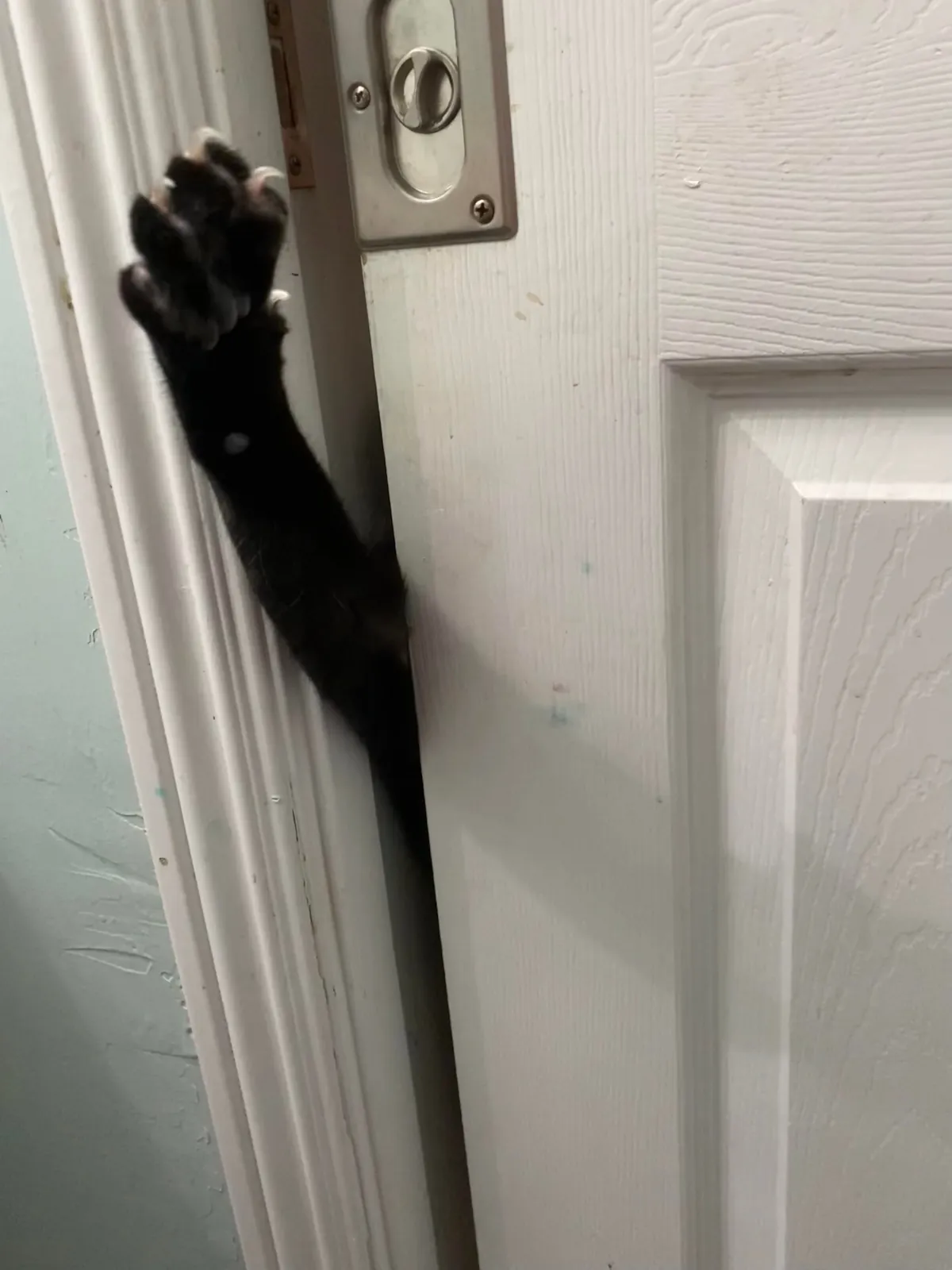 My void does not respect my privacy. I can’t poop in peace 😑