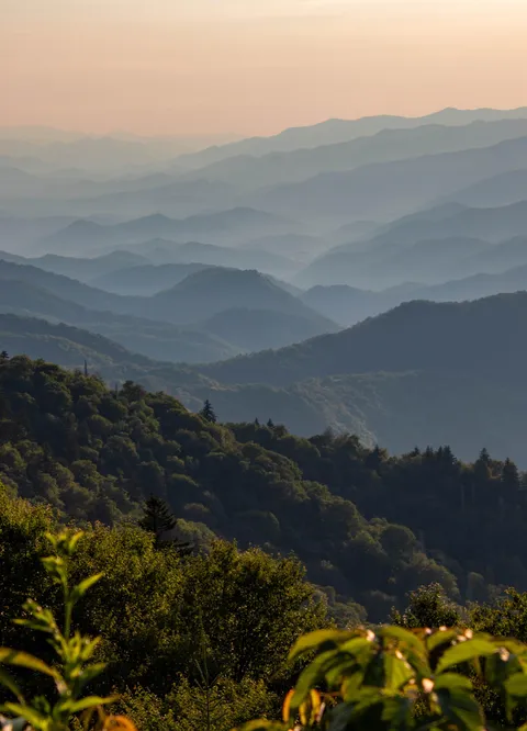 Endless mountain layers in the Great Smoky Mountains (North Carolina, USA) [OC] [4000x6000]