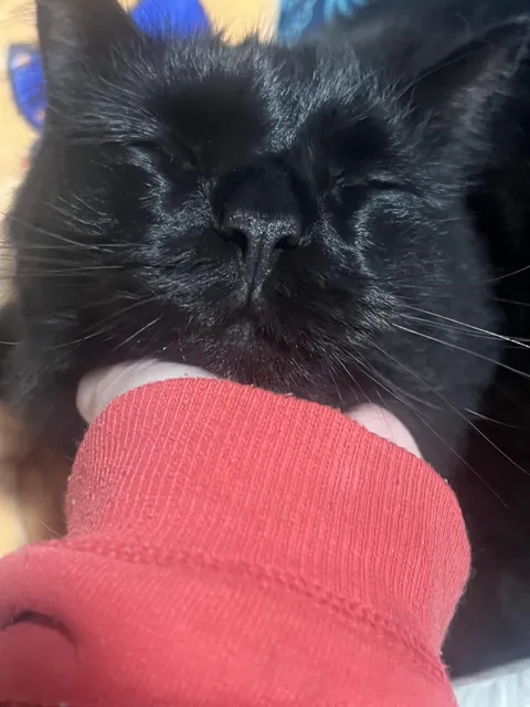 I can’t get over how cute this picture is 😭 