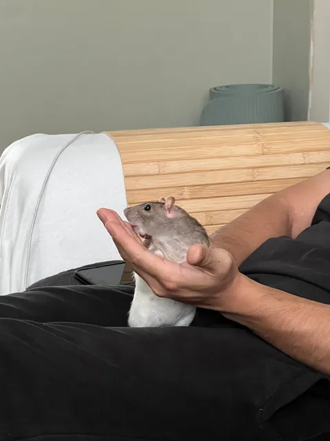 Must clean the fingers