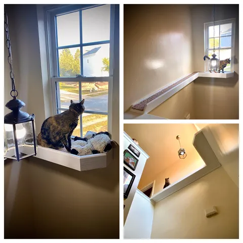 Made her a bridge to the window she always stared at but could never reach.