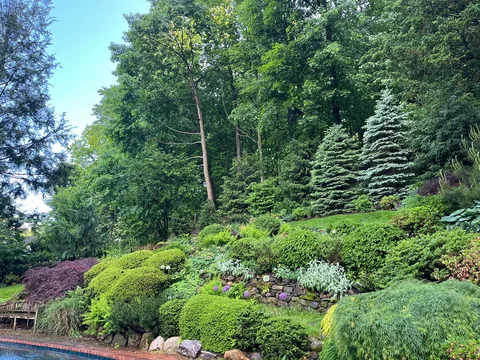 Photos of the backyard section of my mom's garden post-rain!