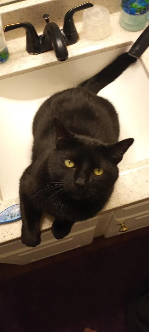 It’s taken me a while to make this post, but here is my sweet man Benjamin <3