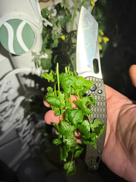 [homemade] boneless wings or saucy nugs or popcorn chicken or something.